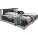 Dynamic24 Boxspringbett 180 x 200cm LED grauweiß Kunstleder Doppelbett Ehebett