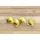 KitchenCraft Ravioli-Hobel 7x7x3 cm Silber