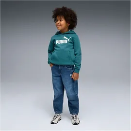 Puma Hoodie Emerald Ice 110