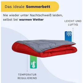 les tendances Hudson Couette Legere Microfibre 200g/m2 220x240cm Gris / Rouge