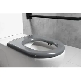 Sapho WC-Sitz SoftClose Grau