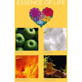 Frida Kahlo Duftkerze 3er Set 3x70 g weiß