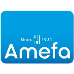 Menülöffel Pixel 12ST rot AMEFA 2515CYB000325