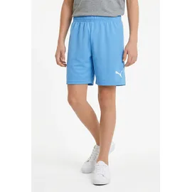 Puma Teamrise Short Jr Sport-Shorts Blau 176