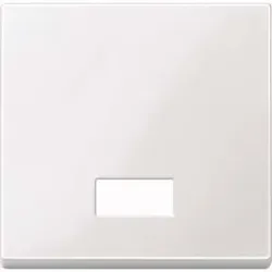 Merten Wippe Symbol Fenster pwsgl rechteckig 432819