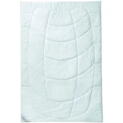 Ganzjahresbett Kamelhaar