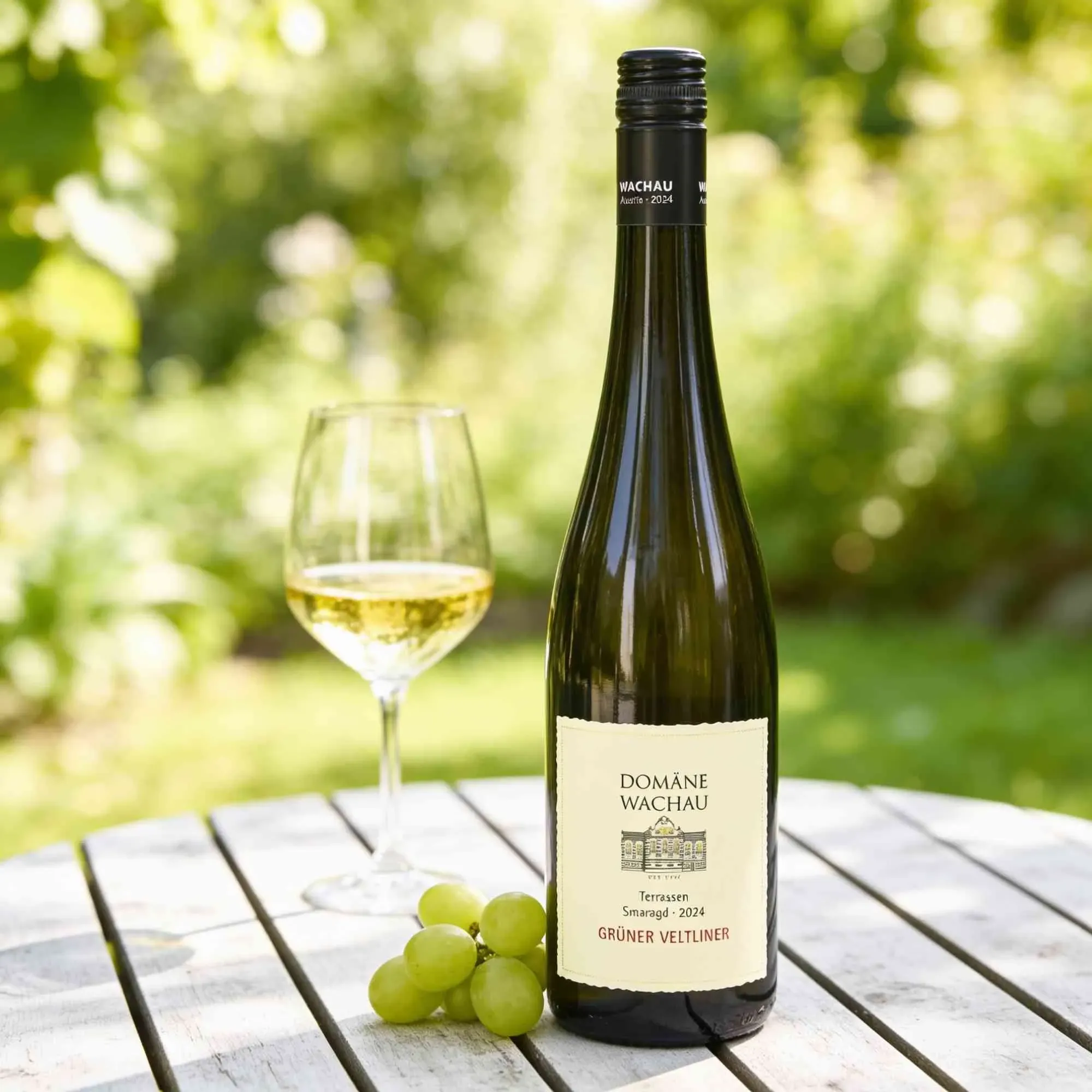 Domäne Wachau 2024 Domäne Wachau Wachauer Terrassen Grüner Veltliner Smaragd 2024 Grüner Veltliner Österreich