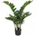 Creativ green Creativ-green Kunstpflanze Zamiifolia, im Topf Höhe 70 cm