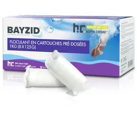 Bayzid Höfer Chemie Gmbh - 4x 1 kg Flockkartusche für Pools