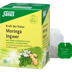 Moringa Ingwer Kräutertee kraft der Natur Salus 15 ST