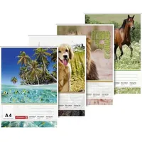 Brunnen Zeichenblock A4