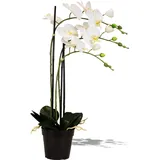 Künstliche Orchidee weiß 76 cm