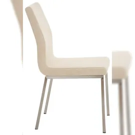 CLP 2er Set Esszimmerstühle Colmar Mit Stoffsitz I Pflegeleichter Gepolsterter Lehnstühle Mit Edelstahlgestell