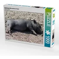 Calvendo Schlafende Mikroschwein Ferkel Puzzle