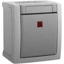 Panasonic Ausschalter Kontroll-/Ausschalter 90591023-DE Grau