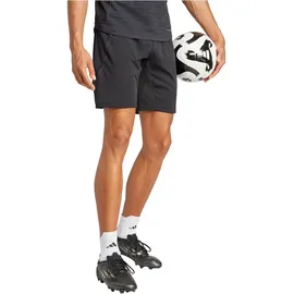adidas Tiro 25 Pro Trainingshorts Herren IW0416 - black L