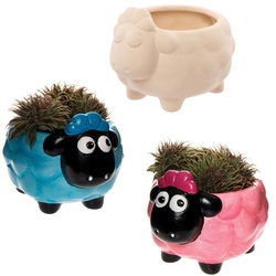 Flauschige Schafkeramik-Blumentöpfe  (pro Set 2) Keramik & Porzellan