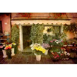 Fototapete PAPERMOON "Blumenladen", bunt, B:5,00m L:2,80m, Vlies, Tapeten