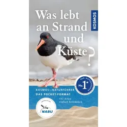 Was lebt an Strand und Küste?