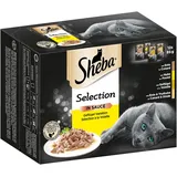 Sheba Selection in Sauce Katzennahrung – Katzenfutter in 48 Portionsbeuteln – Geflügel Variation in Sauce für ausgewachsene Katzen – 4er Pack (4 x 12 Portionsbeutel à 85g)