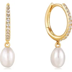 Ania Haie Creolen 585er Gelbgold   Damen 