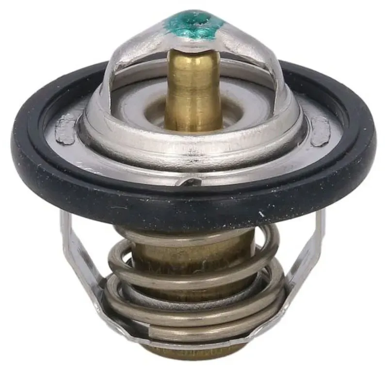 Thermostat TOURMAX TMT-303