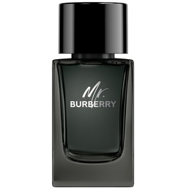 Burberry Mr. Burberry Eau de Parfum 100 ml