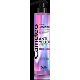 Delia Cosmetics Cameleo Silver 250 ml