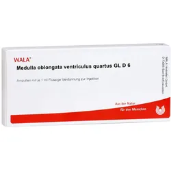 Medulla Oblongata Ventriculus quartus GL 10X1 ml