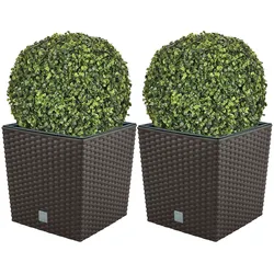 WellHome - Doppelpack Topf 32L mit Buchskugel 36 cm in Schokolade