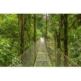 Papermoon Fototapete »Hängebrücke durch Wald«