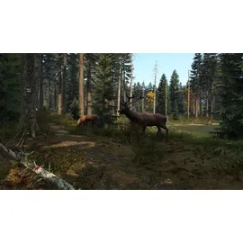 Dayz Ps4 (New)