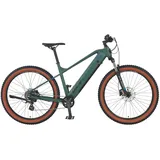 Prophete Dice 1.0 2023 27,5 Zoll RH 48 cm grün