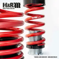 H&R Fahrwerksatz, Federn 230025