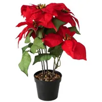 Boltze Weihnachtsstern Rot | Gr.: onesize
