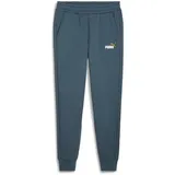 Puma Herren ESS+ 2 Col Logo Pants FL cl Gestrickte Hosen, Grauer Himmel, L