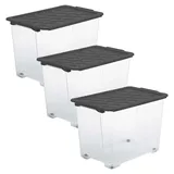 Rotho Aufbewahrungsbox Evo Safe Keeping 65 l 3-tlg. grau