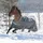 Bucas Smartex Turnout Medium Classic 150g 135 cm Grau
