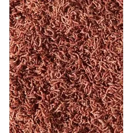 Dehner Rote Mückenlarven gefriergetrocknet 20 g