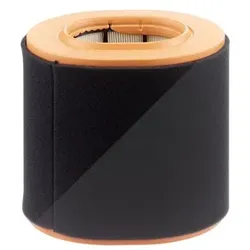 Mann-filter Luftfilter [Hersteller-Nr. C20043] für Fiat