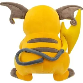 Pokémon Raichu