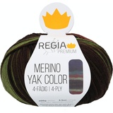 Regia Premium Merino Yak Color, 100G Jungle Gradient Color Handstrickgarne