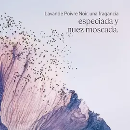 L'Occitane Lavande Poivre Noir Deo Roll-On 50 ml