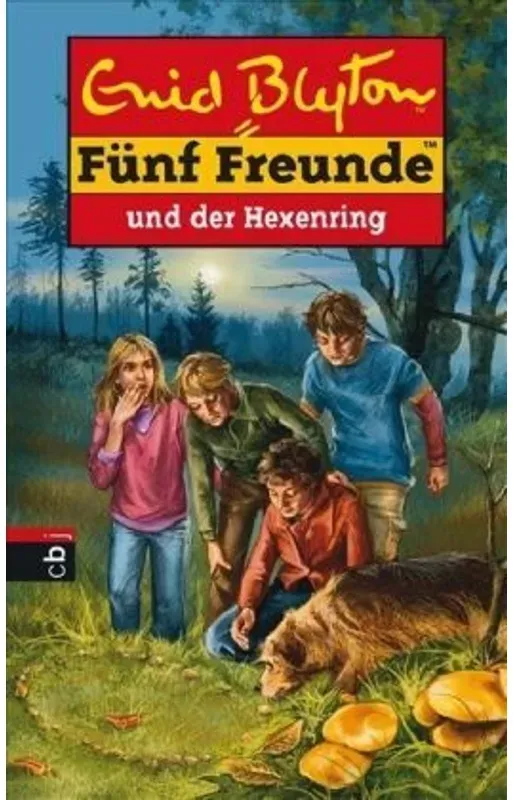 Fünf Freunde Und Der Hexenring / Fünf Freunde Bd.53 - Enid Blyton, Gebunden