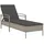 vidaXL Sonnenliege 63 x 200 x 81 cm Hellgrau
