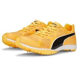 PUMA evoSPEED Haraka 7 Leichtathletikschuhe sun stream/sunset glow/puma black 43