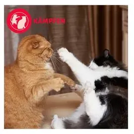 Ceva Feliway Friends Nachfüllflakon