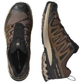 Salomon XA Pro 3D V9 Herren Falcon/Desert Tan/Black 41 1/3