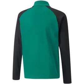 Puma teamLIGA 1/4-Zip Top Kinder pepper green/black 152