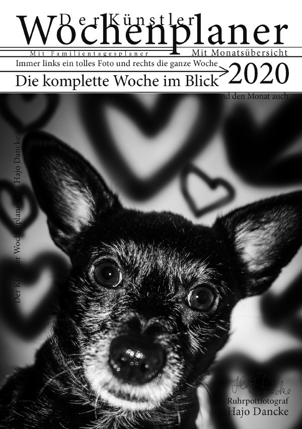 Wochen Planer 2020 Mit Monatsübersicht - Künstleredition Mit Hundefoto Für Jede Woche - Hajo Dancke  Kartoniert (TB)